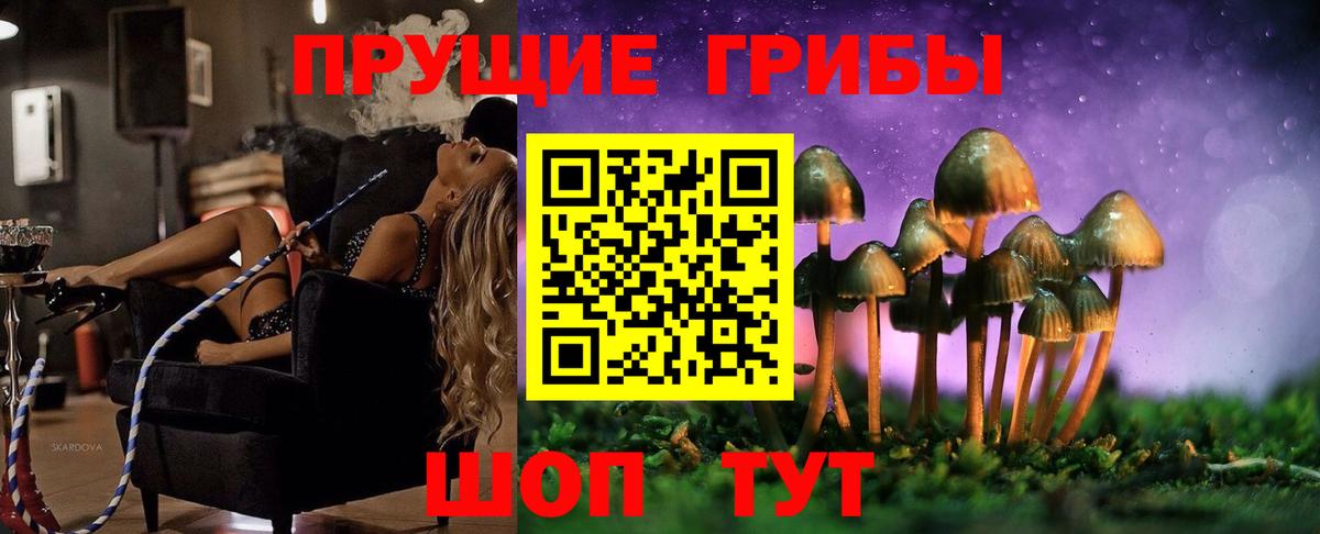 Псилоцибиновые грибы GOLDEN TEACHER  Вход с VPN  Ленинск-Кузнецкий 