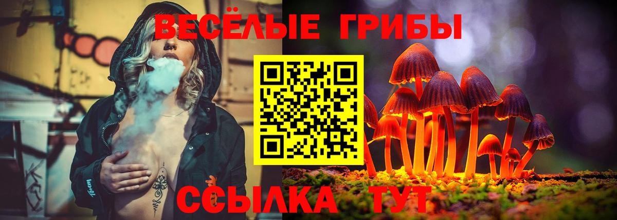 Псилоцибиновые грибы Magic Shrooms Ленинск-Кузнецкий